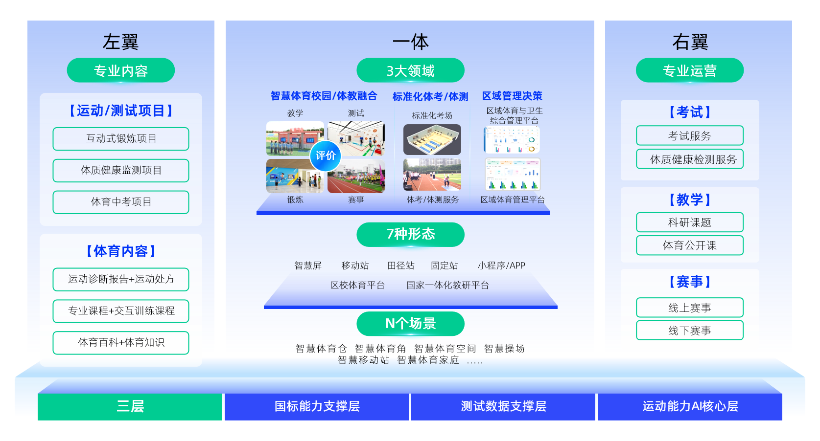 AG尊龙教育体育架构图.png